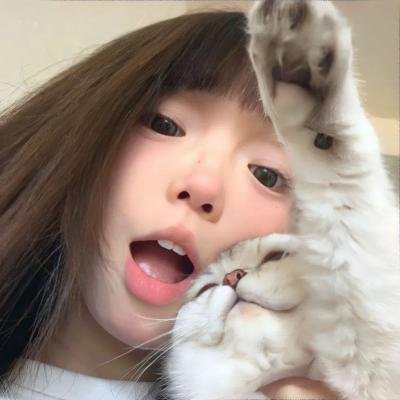 总统的蛋糕