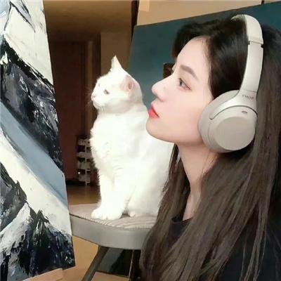 狐门秘事第一季